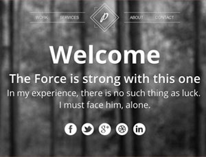 商业智能管理的手机号接收平台